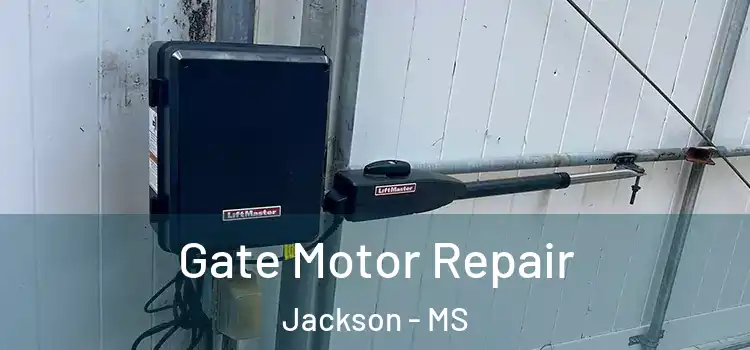 Gate Motor Repair Jackson - MS